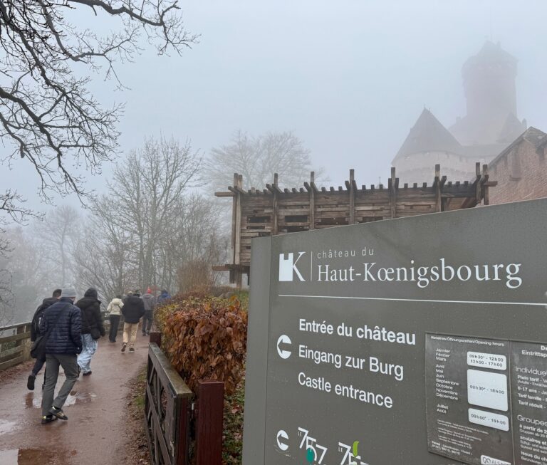 Sortie-Boite-Pomzed-2025